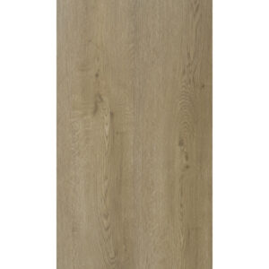 Munster Oak 53 (50-LVRE-2353)