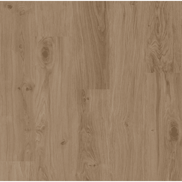 COREtec Authentics , Richmond 50LVREH4357